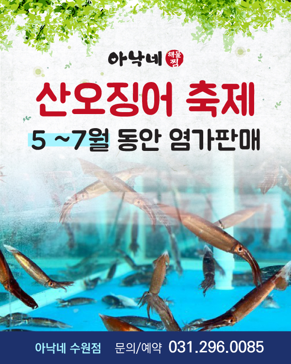 산오징어 축제!