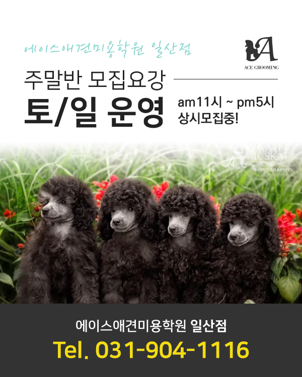 주말반 모집요강