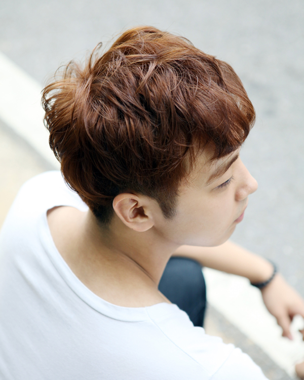 Hair Style 008