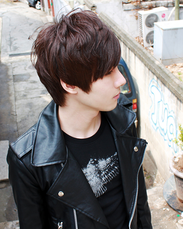 Hair Style 009