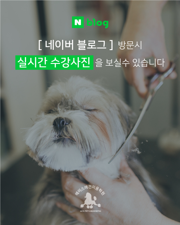 네이버 블로그 방문하기- 실시간 수강사진
