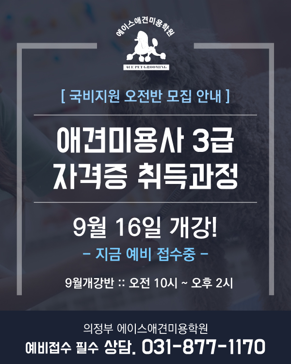 국비지원 오전반 모집안내