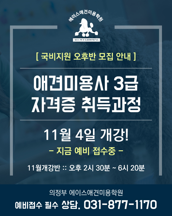국비지원 오후반 모집 안내