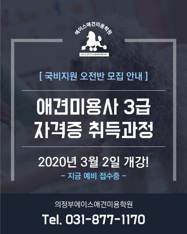 국비지원 오전반 모집안내