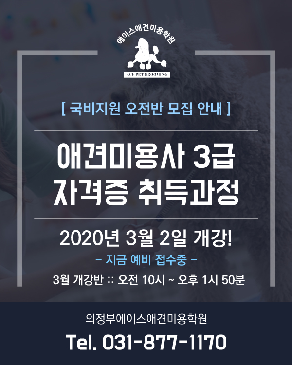 국비지원 오전반 모집안내