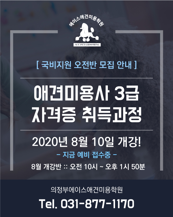 국비지원 오전반 모집안내