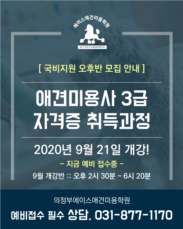 국비지원 오후반 모집안내