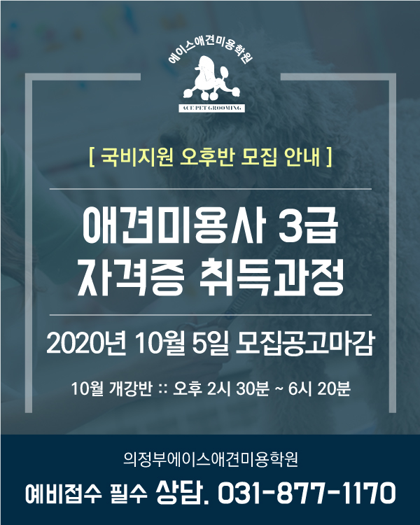 국비지원 오후반 모집안내