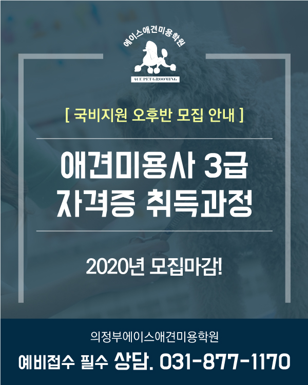 국비지원 오후반 모집 안내