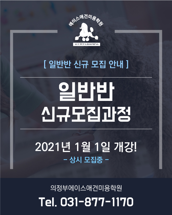 일반반 신규모집과정