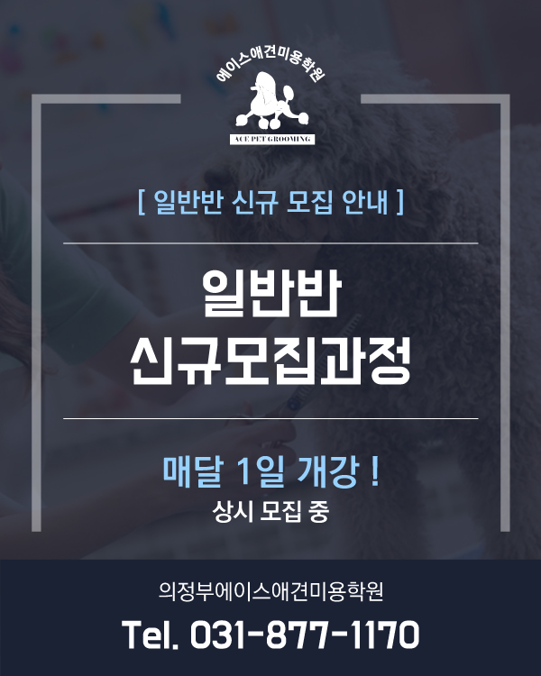 일반반 신규모집과정