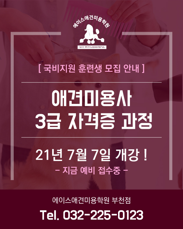 부천점 국비지원 안내